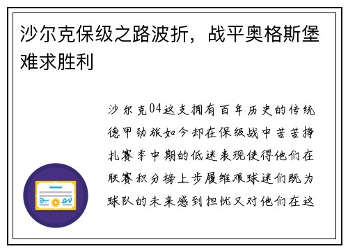 沙尔克保级之路波折，战平奥格斯堡难求胜利
