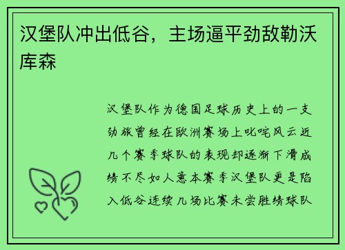 汉堡队冲出低谷，主场逼平劲敌勒沃库森